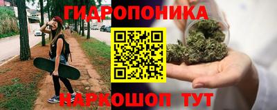 молекула духа Гагарин